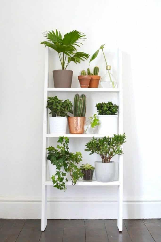 a white ladder leaning against the wall with houseplants on it