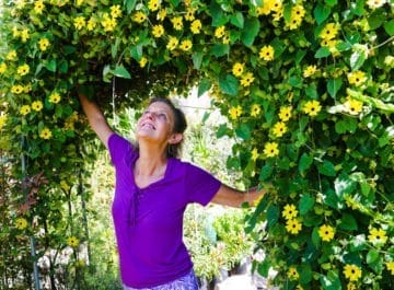 Vines + Climbing Plants