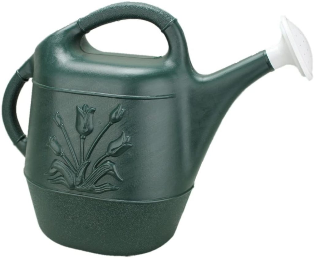 Green watering can with flower design from Amazon. 