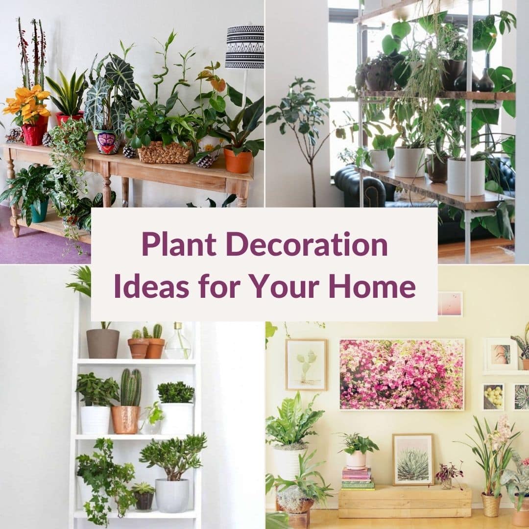 14 Creative Plant Decoration Ideas for Your Home | Joy Us Garden