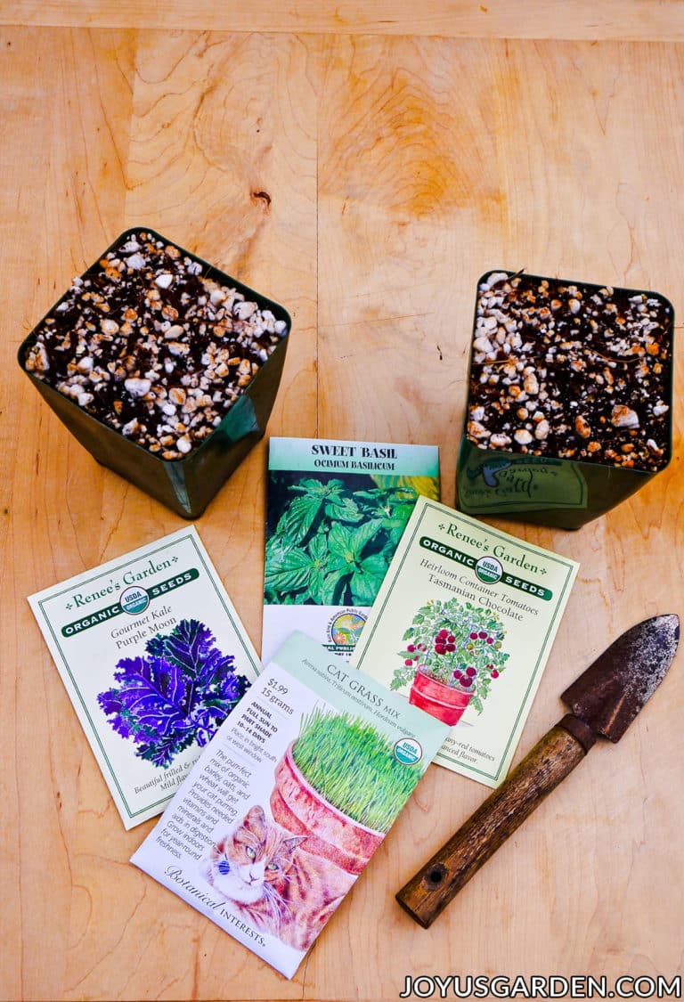 Seed Starting Mix: A Recipe To Make Your Own