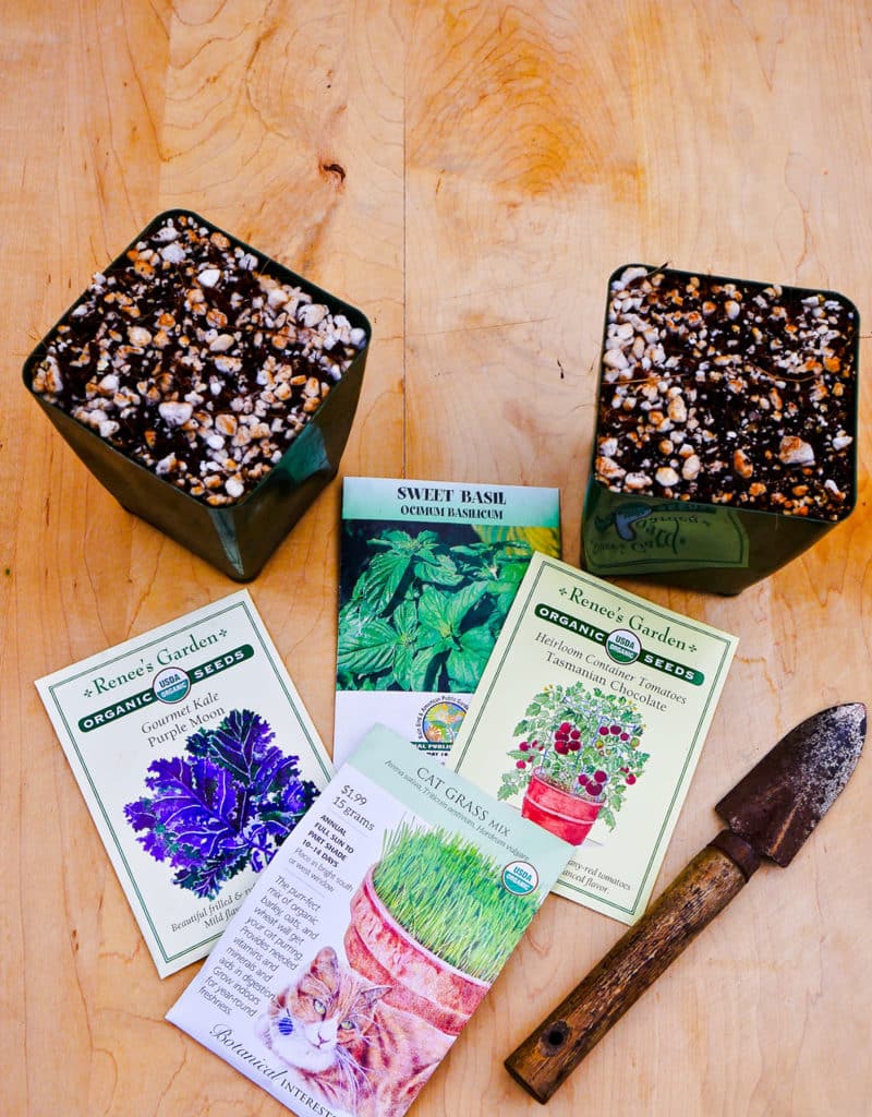 2 4" grow pots filled with diy seed starting mix sit next to seed packets & a mini trowel