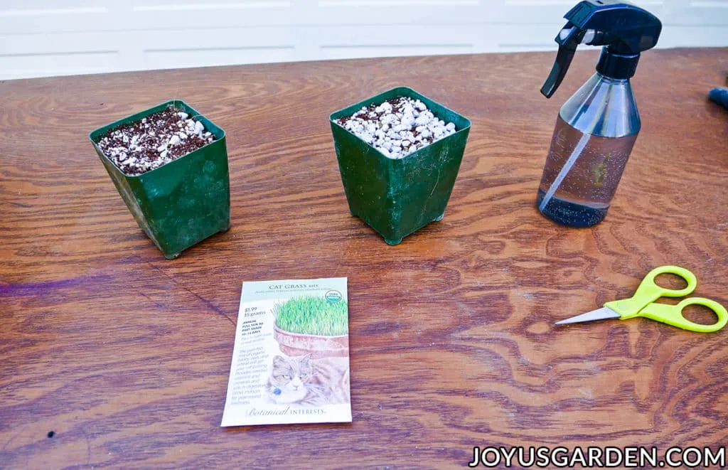 2 4" grow pots filled with mix sit on a work table with a packet of seeds a mister & scissors