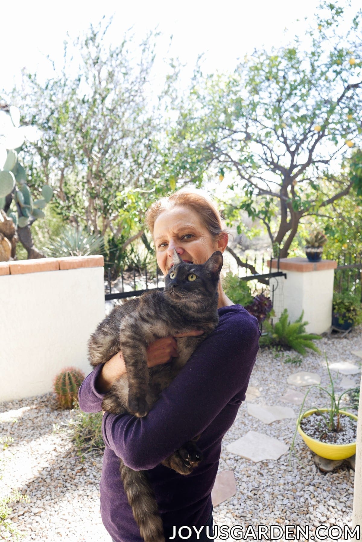 nell foster houdt haar grijs gestreepte kat Riley in haar tuin