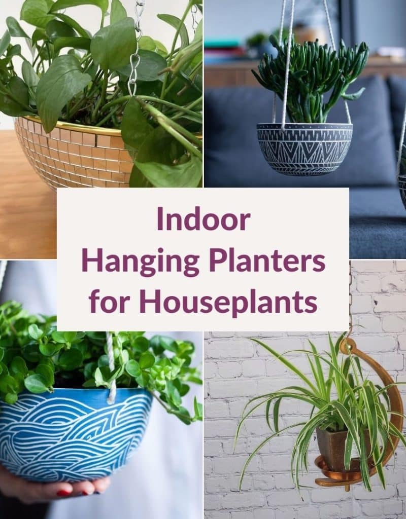 a collage of 4 photos of hanging pots for plants the texts reads indoor hanging planters for houseplants