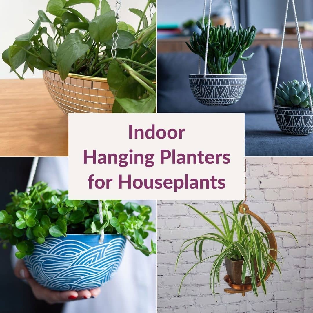 21 Indoor Hanging Planters for Your Houseplants | Joy Us Garden