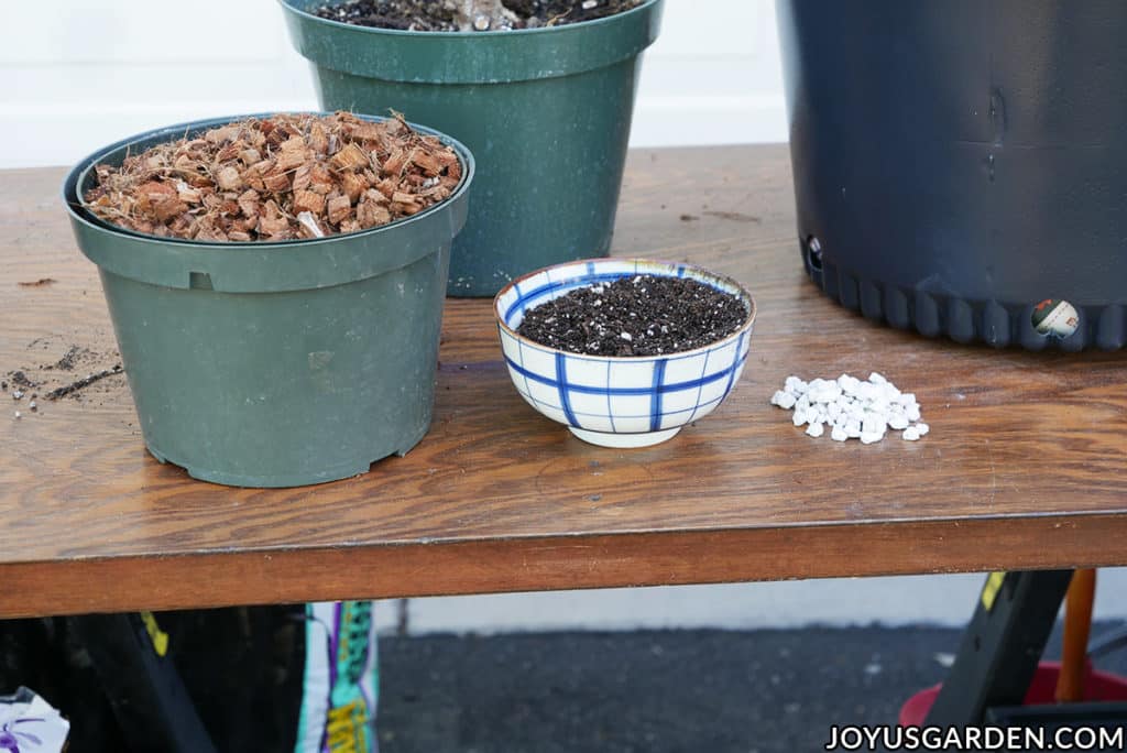 various materials for repotting plants sit on a work table