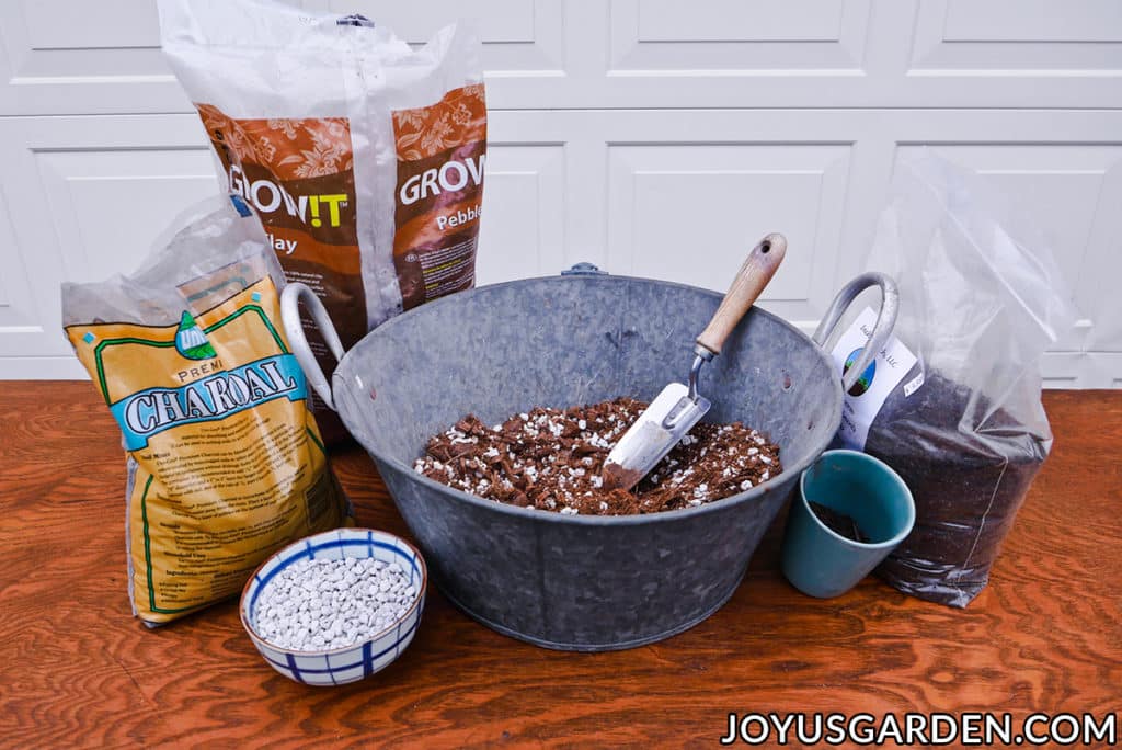 various materials for planting a succulent jade plant sit on a work table