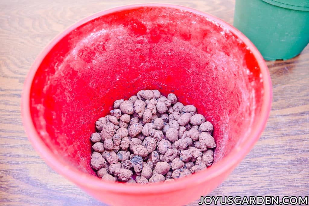 clay pebbles for drainage line the bottom of a red ceramic pot