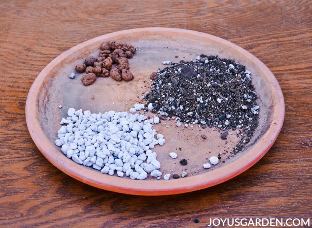 soil ingredients used for planting lavender in pots