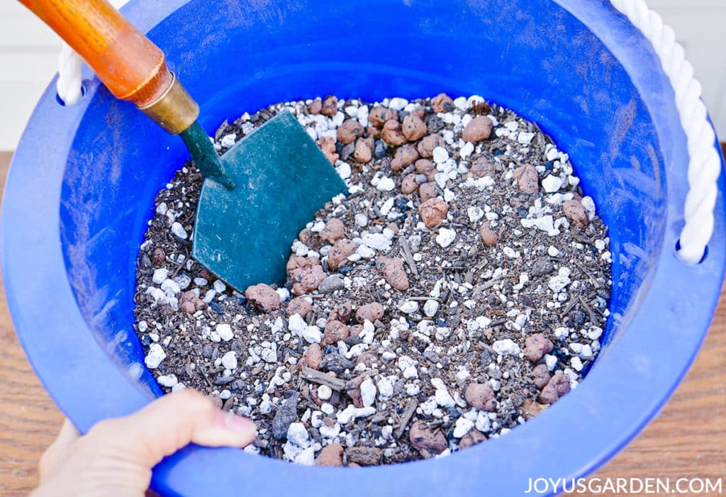 looking down into a blue pail full of soil mix used for planting lavender in pots