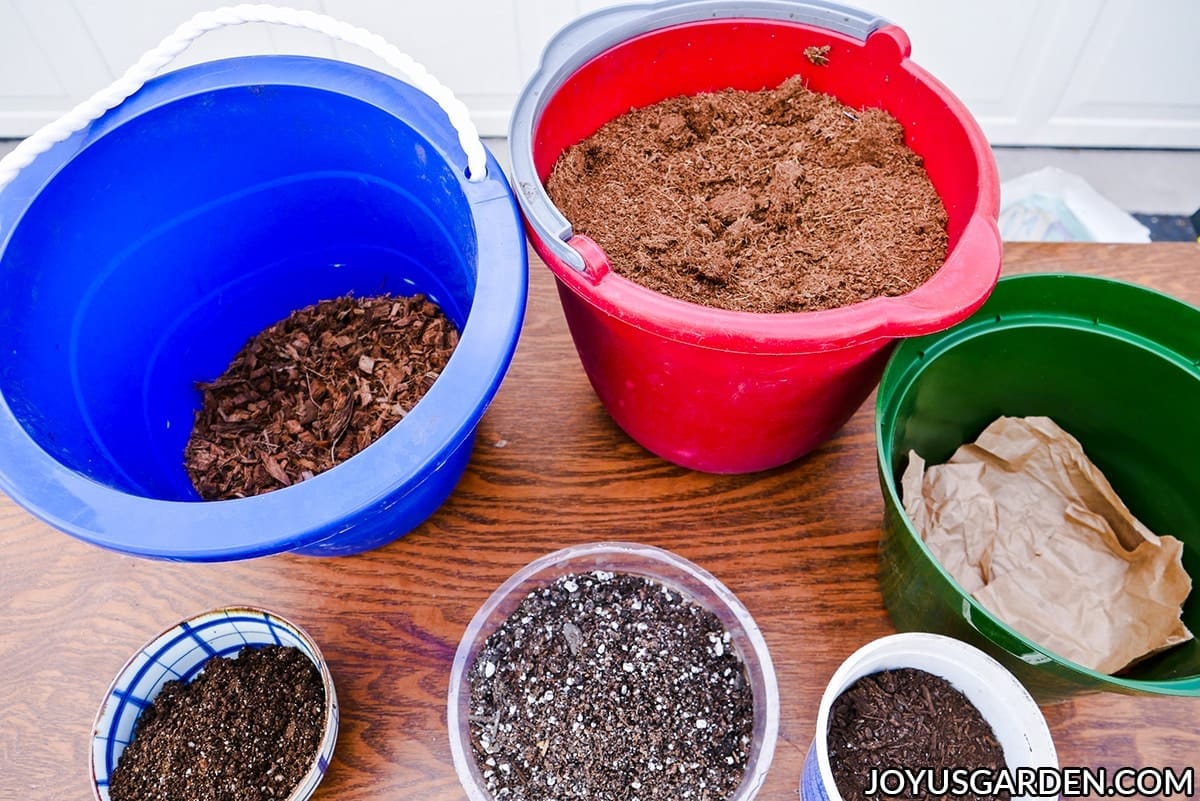 Potting materials in pails and bowls used for repotting monstera deliciosa swiss cheese plant.