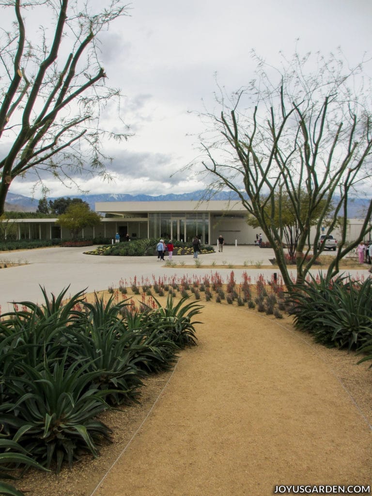 a mid-century modern building behind a cactus garden