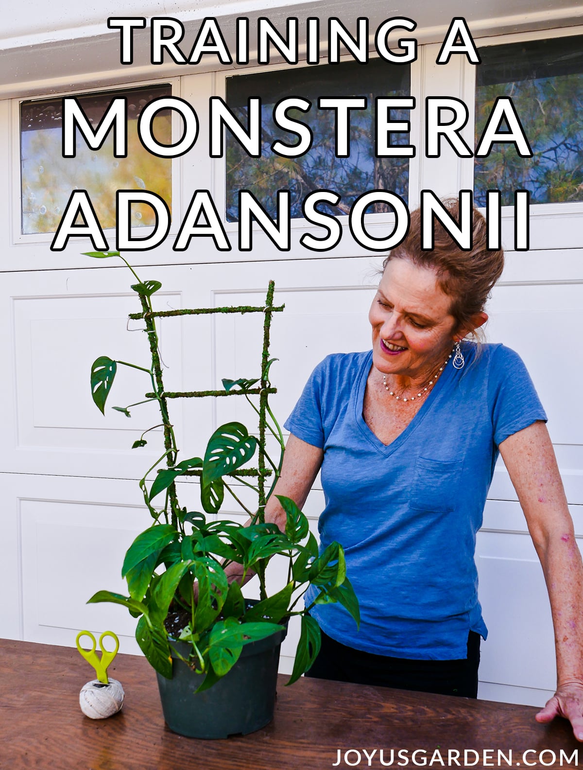 nell foster looks at a monstera adansonii swiss cheese vine growing up a moss trellis