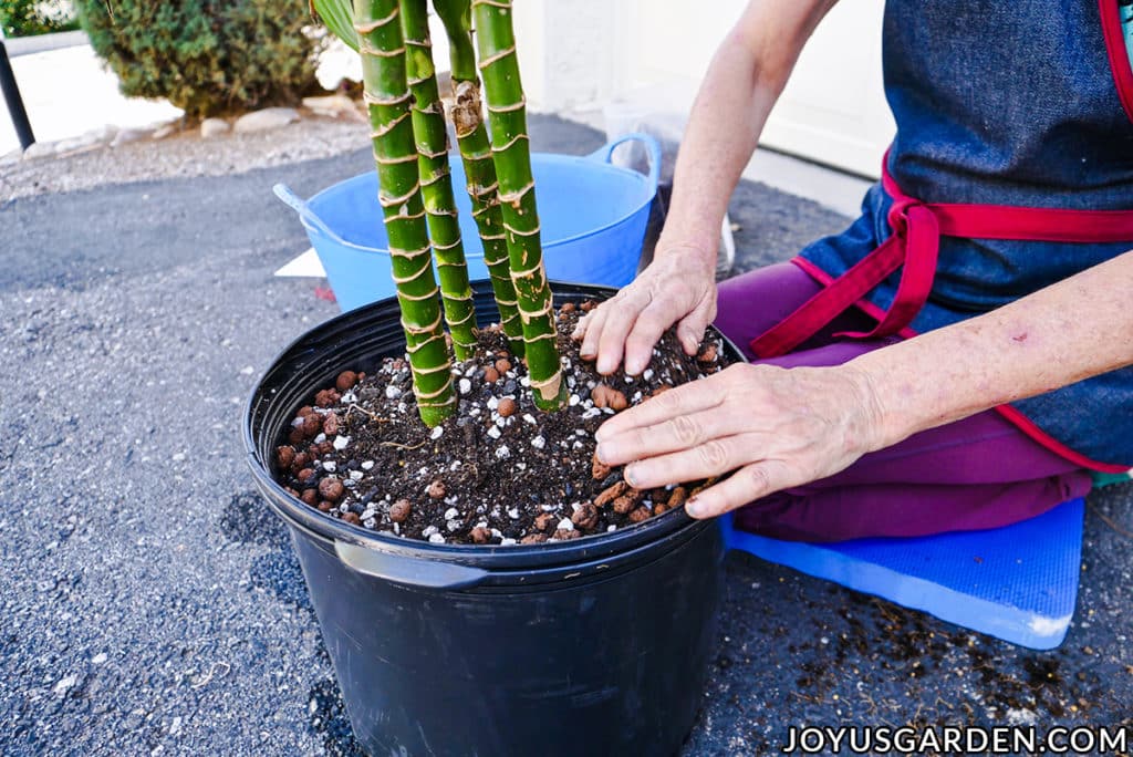 2 hands topping off a pot with soil mix