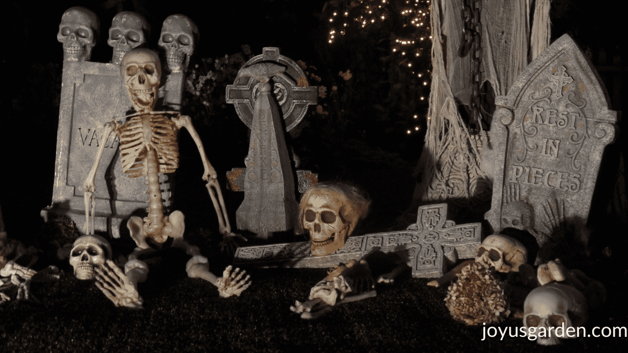 a halloween graveyard display including skeletons, bones, tombstones & skulls after dark