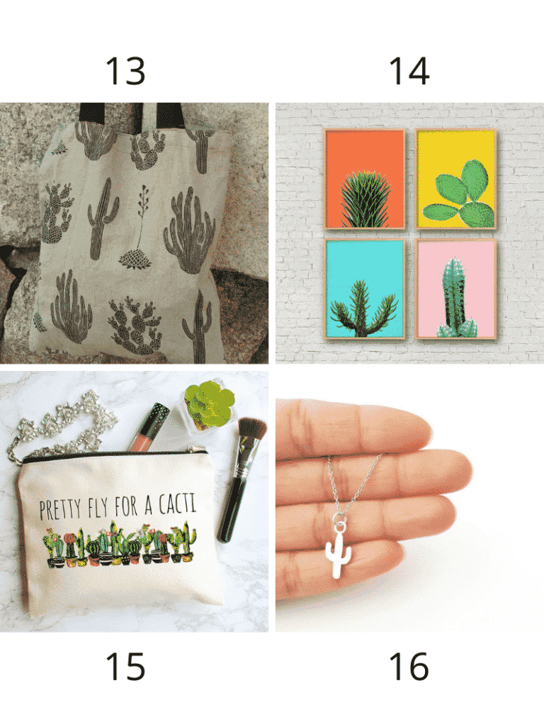 28 Essential Cactus Gifts for the Cactus Lovers in Your Life