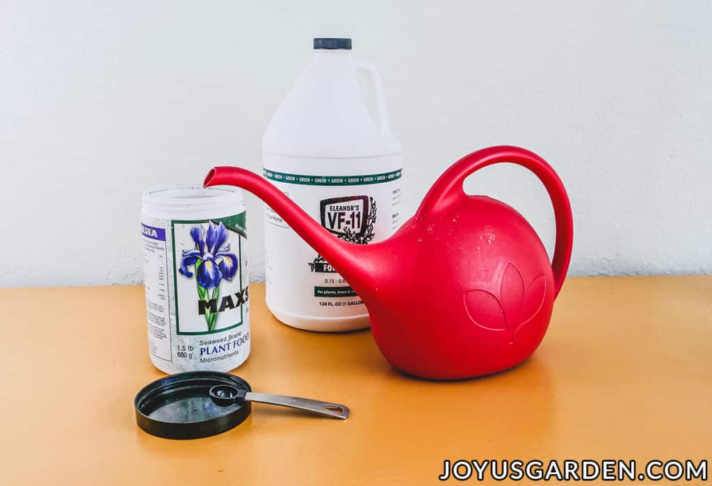 a red watering can sits next to containers of maxsea plant food & eleanor's vf-11 plant food