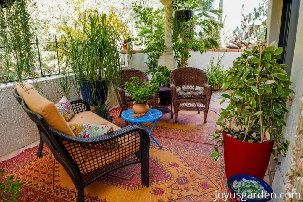 a beautiful patio garden in tucson arizona with many container plants