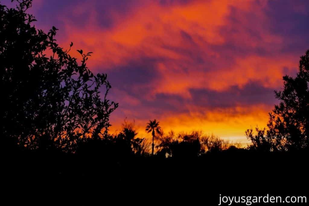 a beautiful december sunset in tucson az