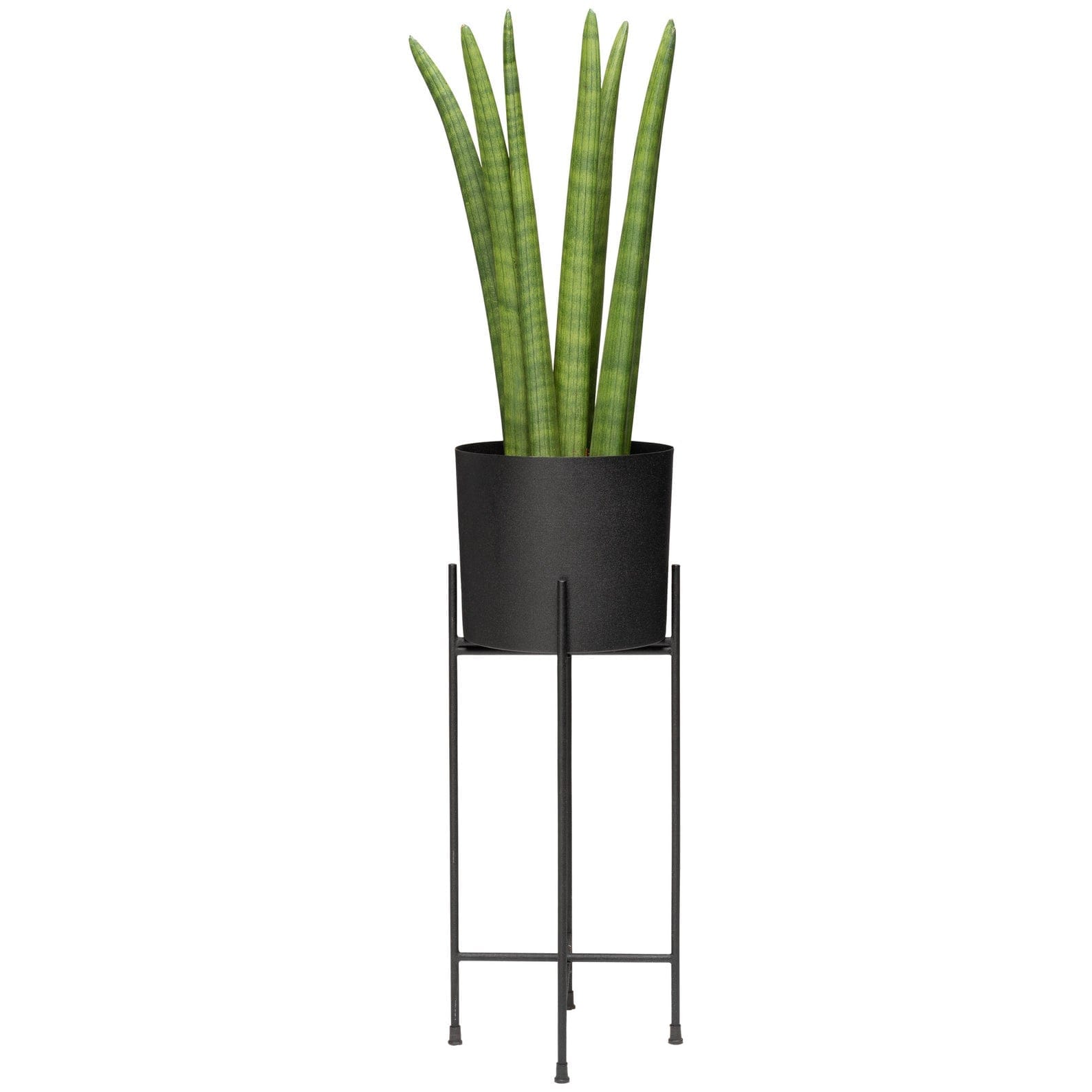 Black plant stand, black pot with black legs. 