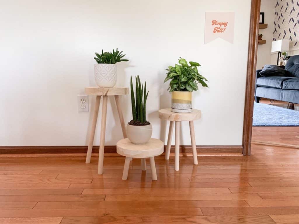 three natural wood stool plant stands