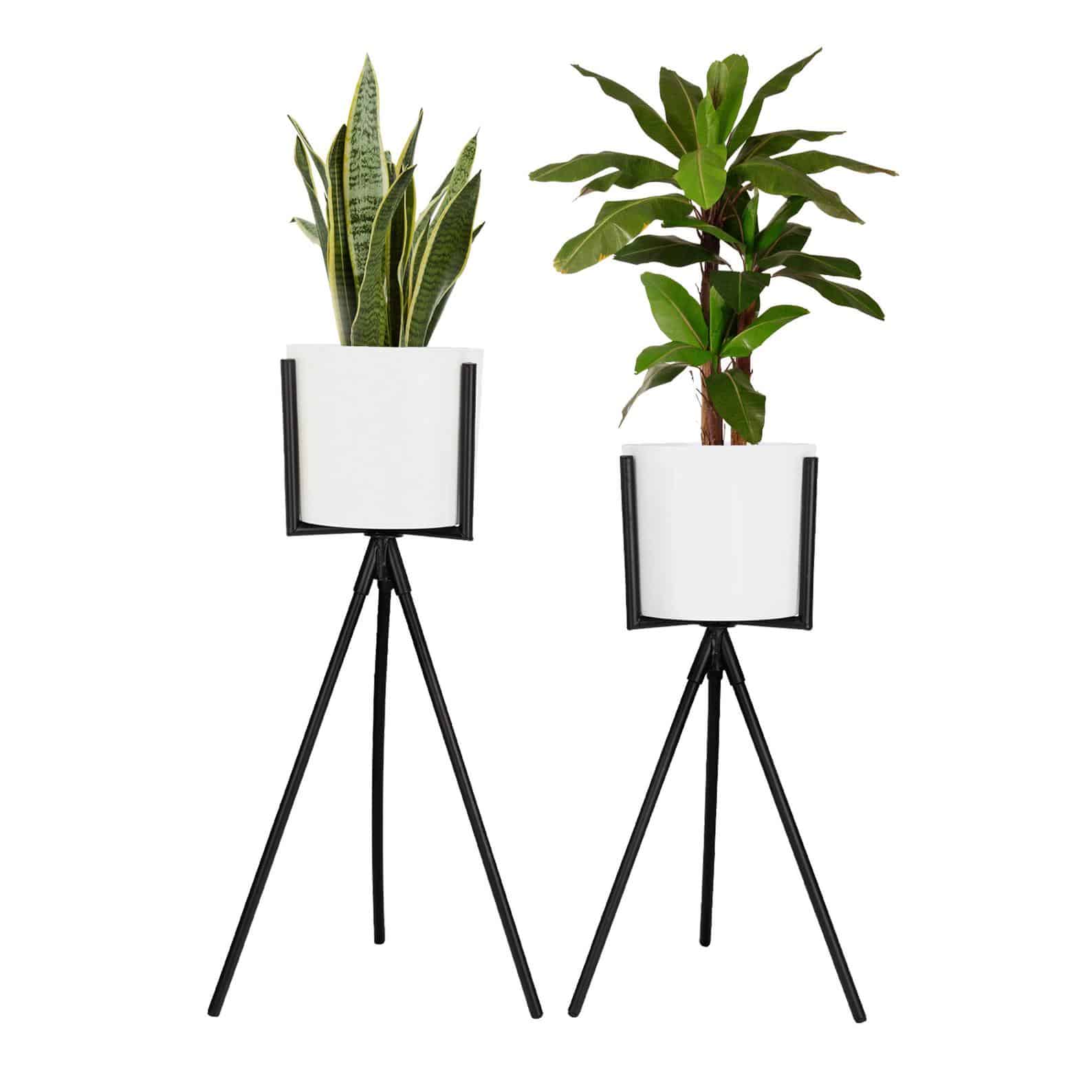 Two plant stands, white pot and black iron legs. 