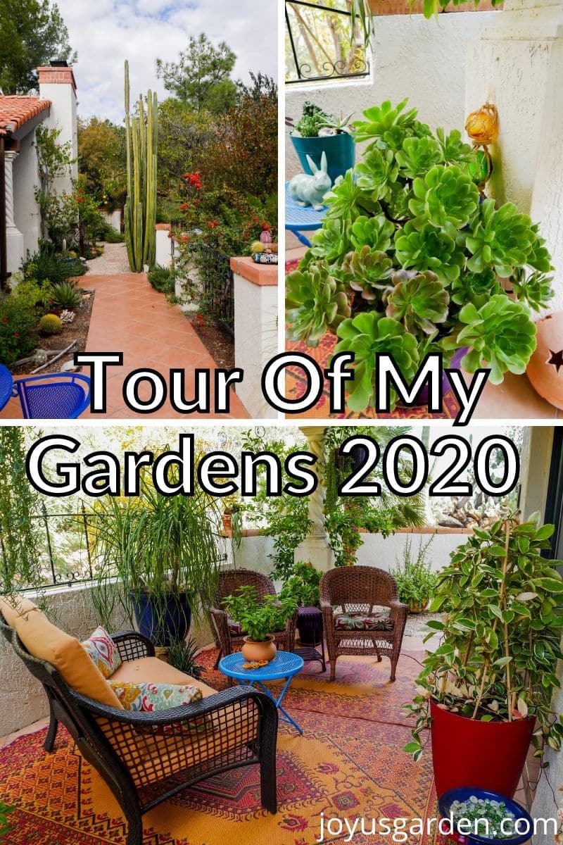 a collage consisting of 3 photos of a desert garden the text read tour of my gardens 2020
