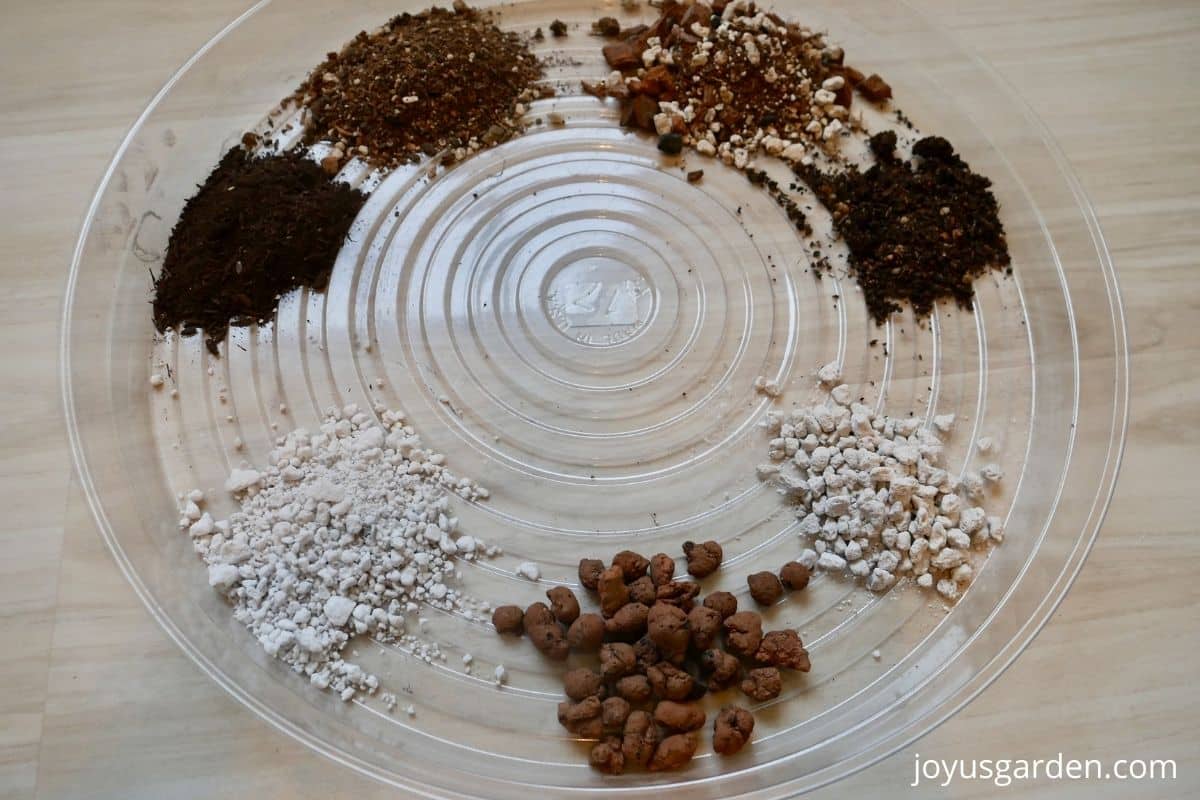 soil mix for snake plant
