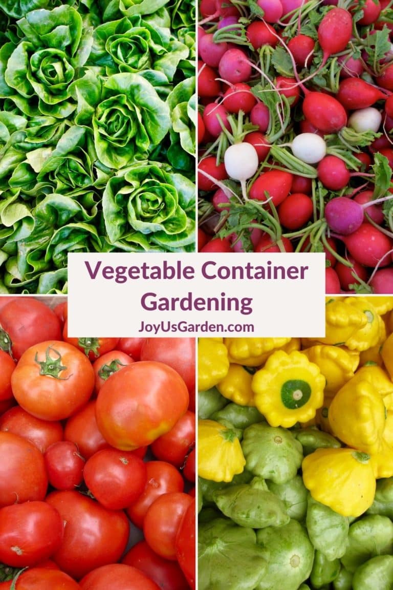 Vegetable Container Gardening: Growing Food at Home