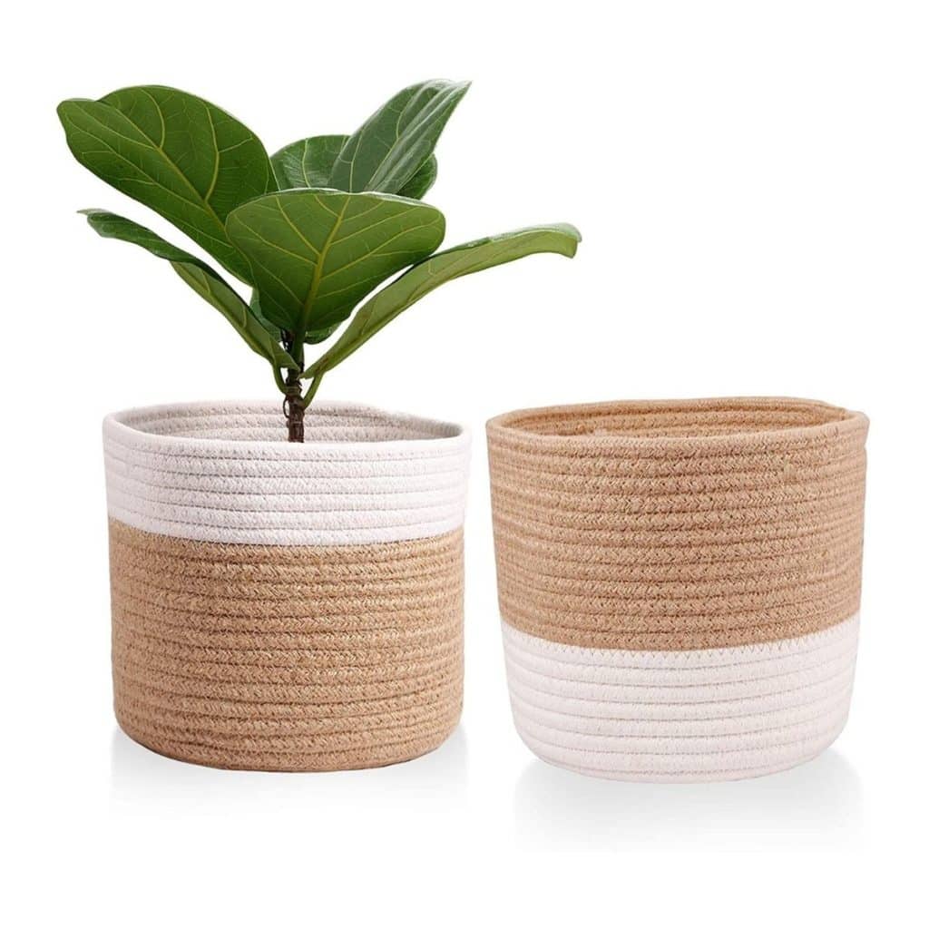 two rope plant baskets one has a fiddle leaf fig tree inside available at amazon
