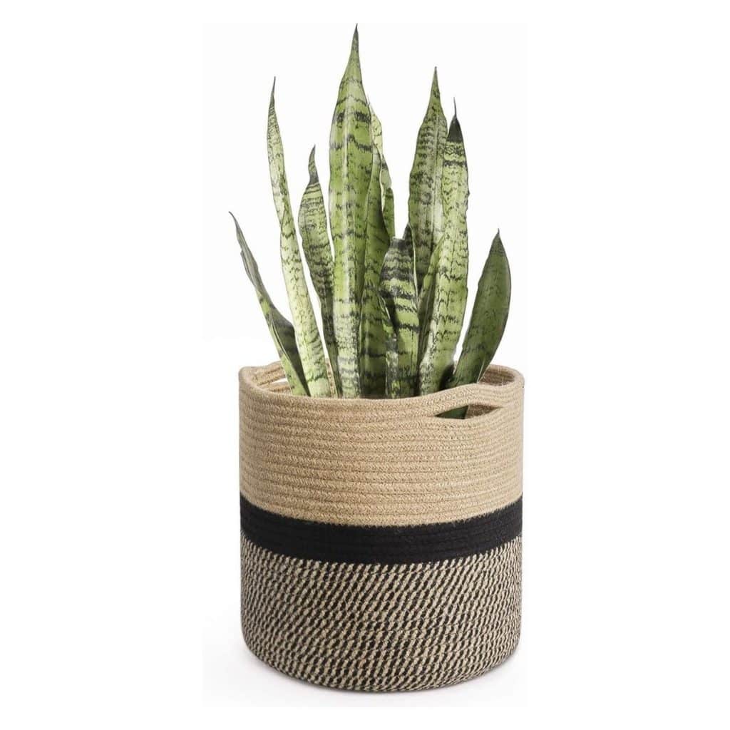 jute rope plant basket with handles black stripe in the middle available at amazon