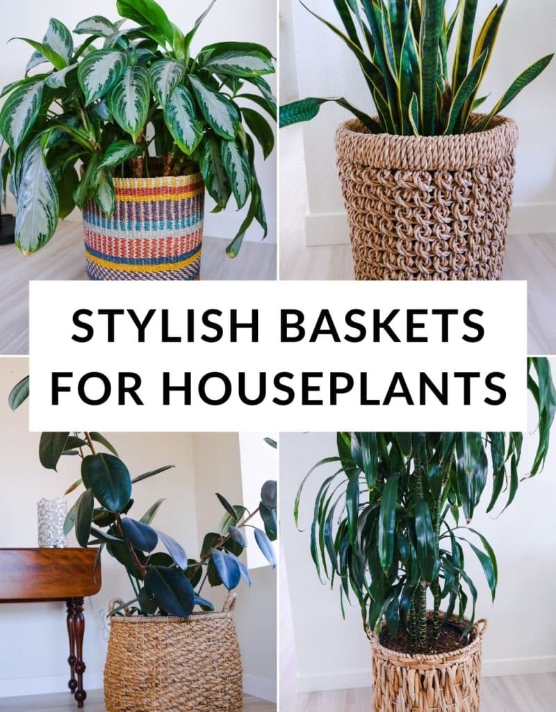 a collage showing 4 large houseplants in different baskets the text reads stylish baskets for houseplants