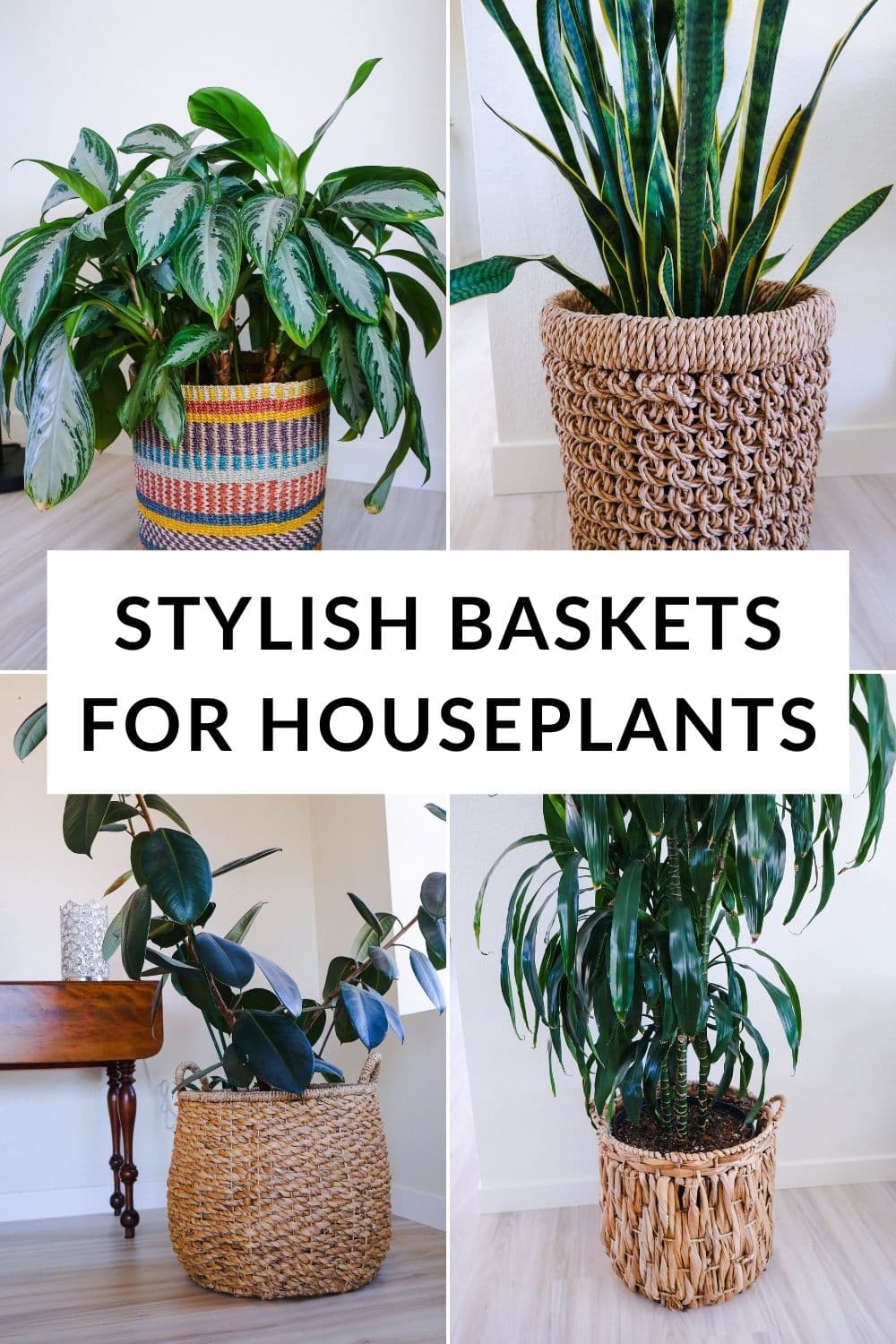 18 Best Indoor Planters - Stylish Pots for Indoor Plants