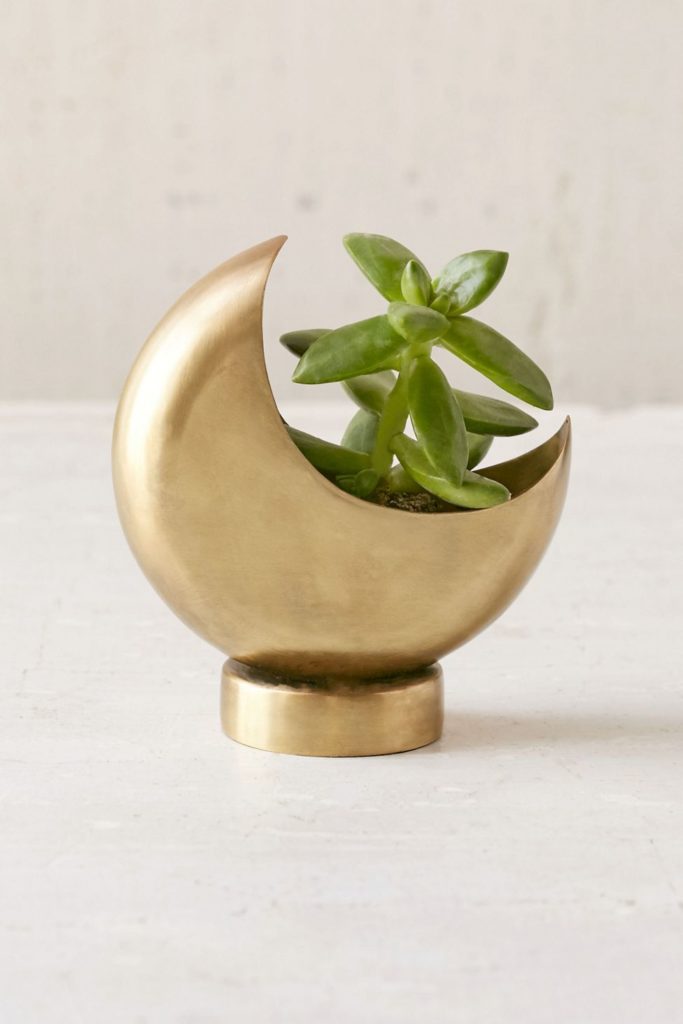 golden half moon shaped pot with succulent inside available at urban outfitters 