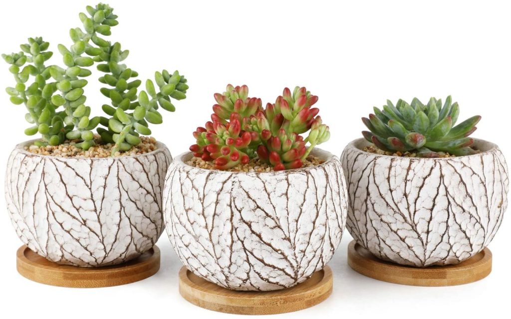set of three planters with succulents inside available at amazon 