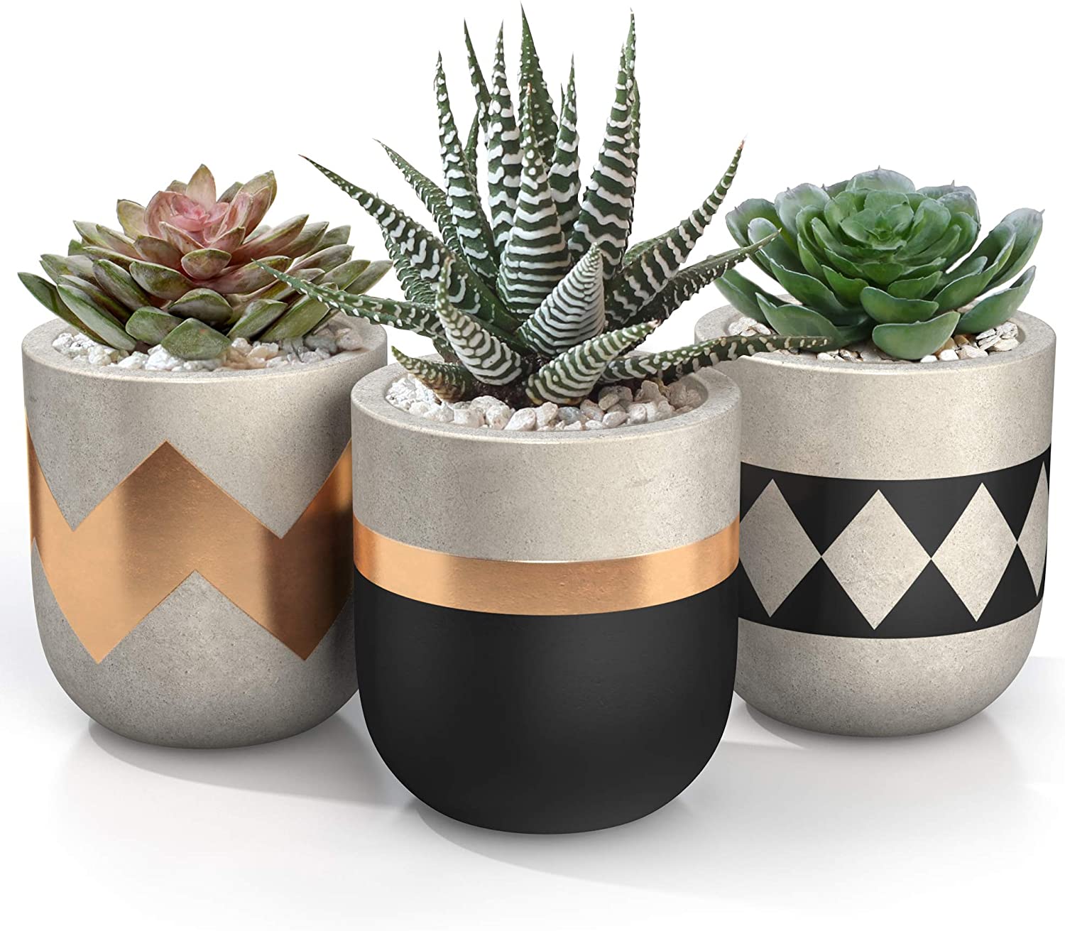 Small Pots For Succulents