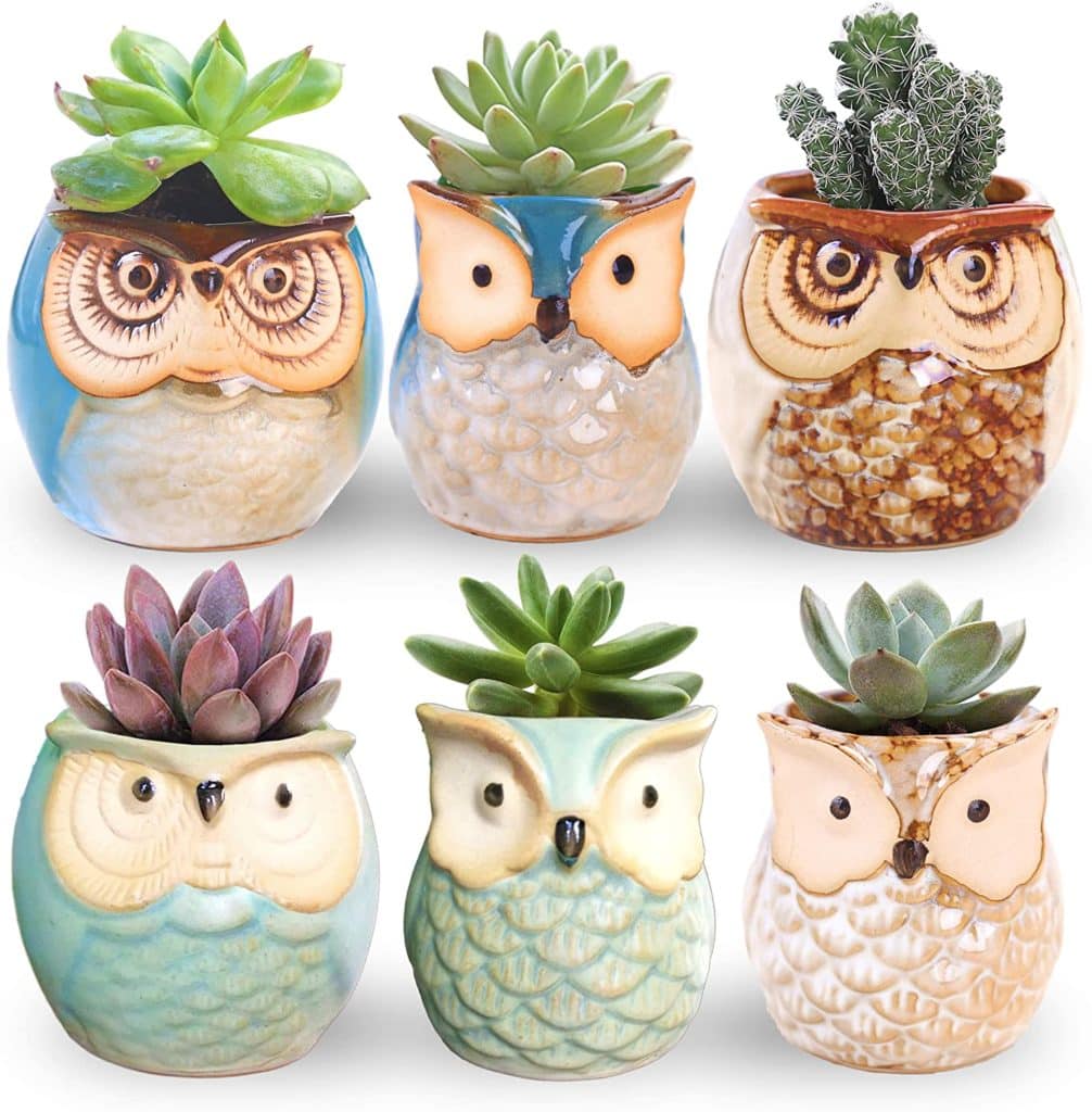 six owl planters with an array of succulents inside available at amazon