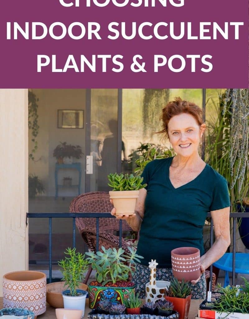 nell foster at her work table with succulent plants & pots the text reads choosing indoor succulent plants & pots