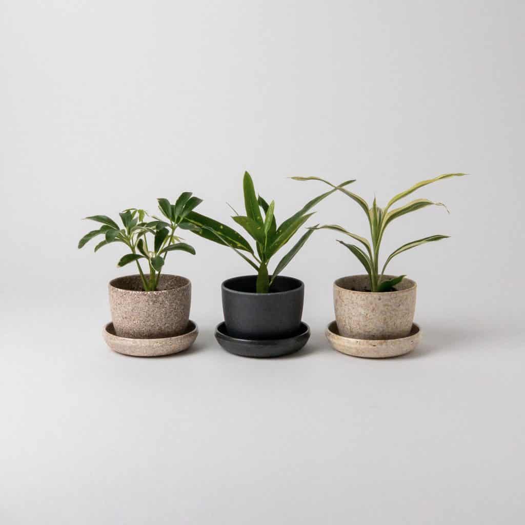 three planters in neutral tones and plants inside available at etsy