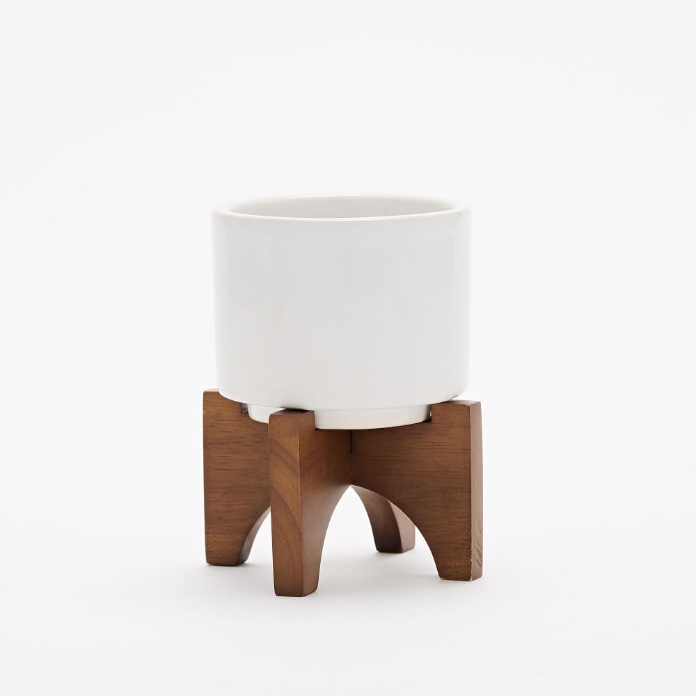 white succulent pot on wood legs available at west elm 