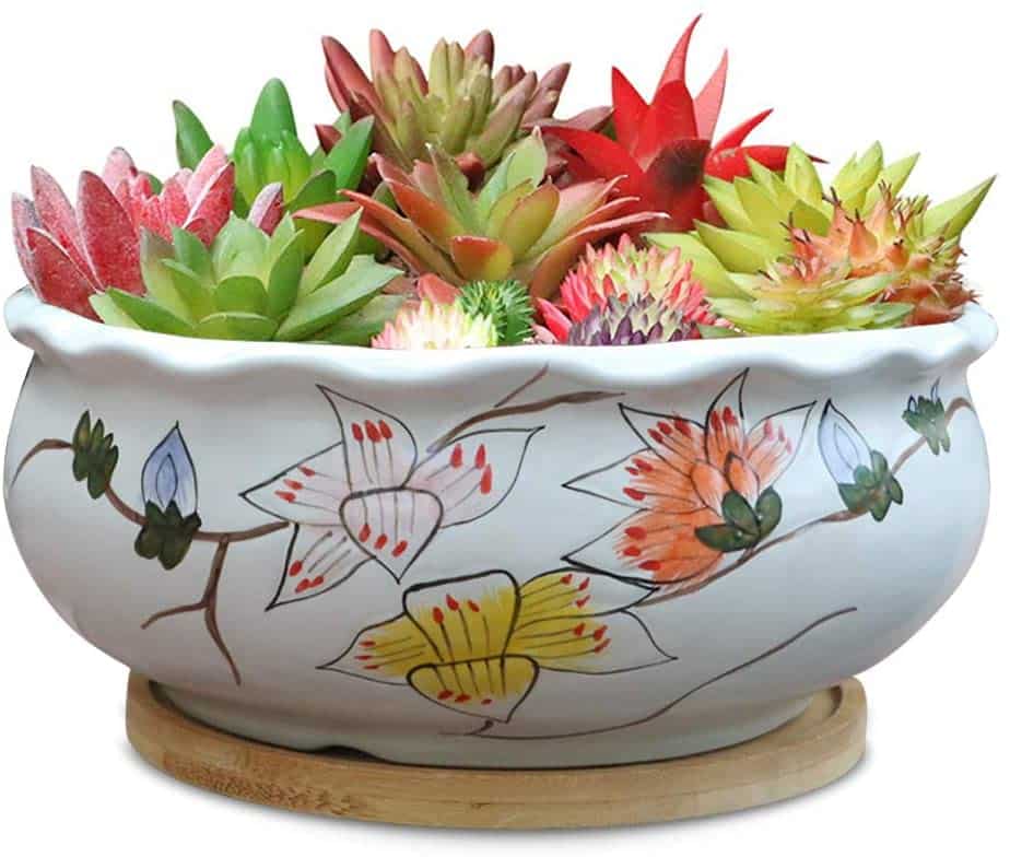 hand painted planter with an array of succulents inside available at Amazon