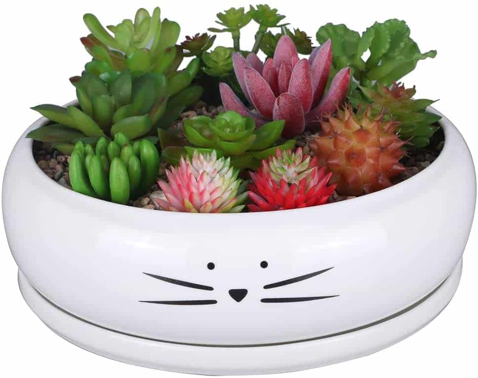 Cat Ceramic Succulent Planter with Removable Saucer with an array of succulents inside available at Amazon