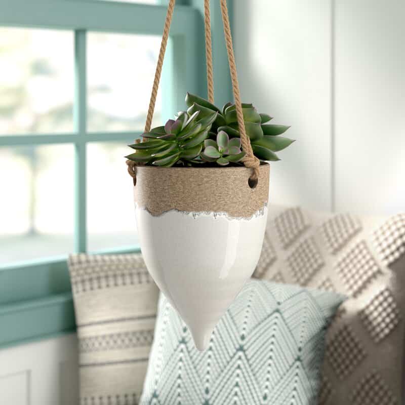 stoneware hanging planter with succulent inside from wayfair 