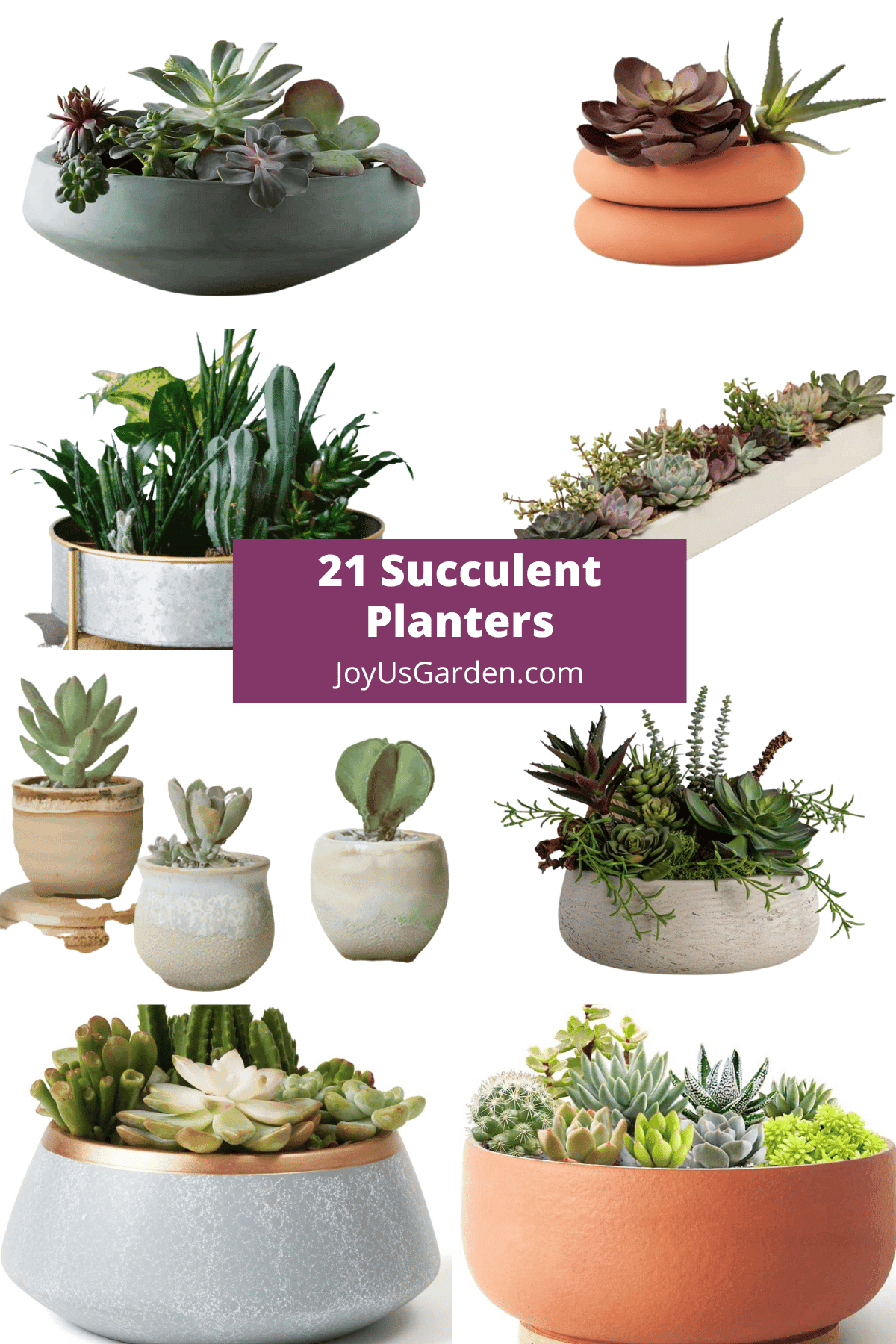 HOW TO CHOOSE THE BEST SUCCULENT GROW STAND FOR YOUR INDOOR GARDEN visual data 4