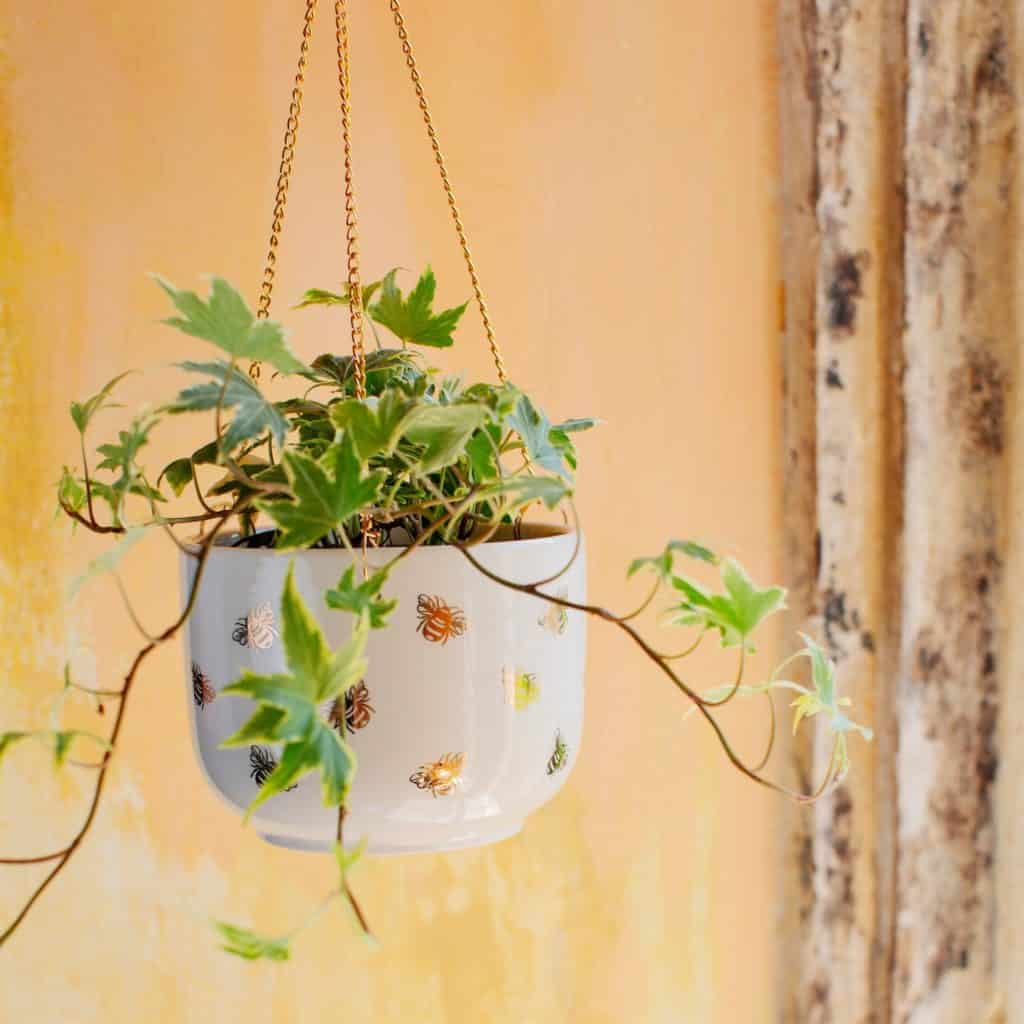 hanging white and gold planter from etsy