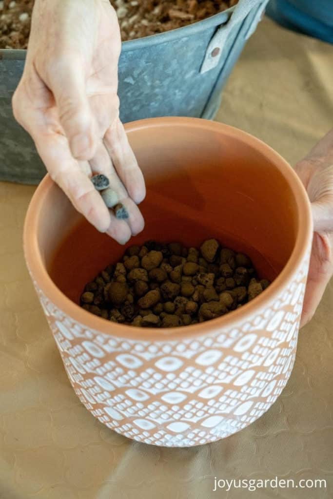 looking down into a patterned terra cotta pot with clay pebbles in the bottom