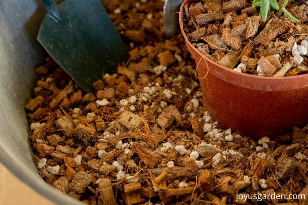 close up of chunky succulent soil mix