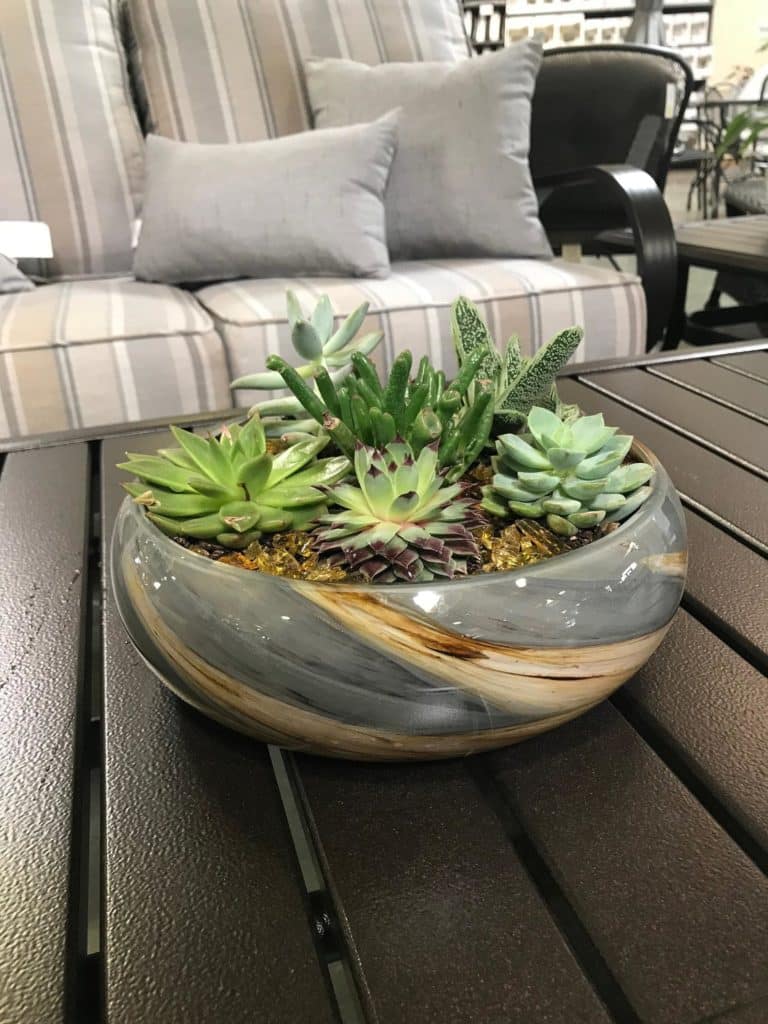 handmade low bowl planter sitting on a table with an array of succulents inside available at etsy