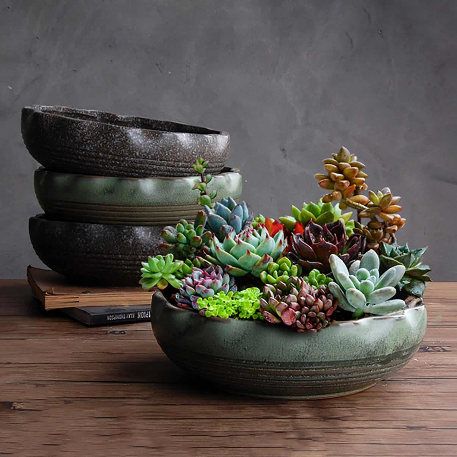 21 Indoor Succulent Planters for Indoor Succulent Gardens